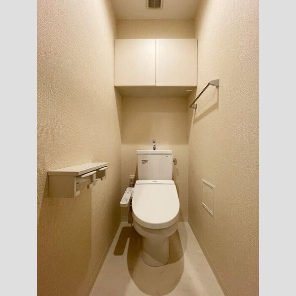 ディー・フラワー201号室 トイレ