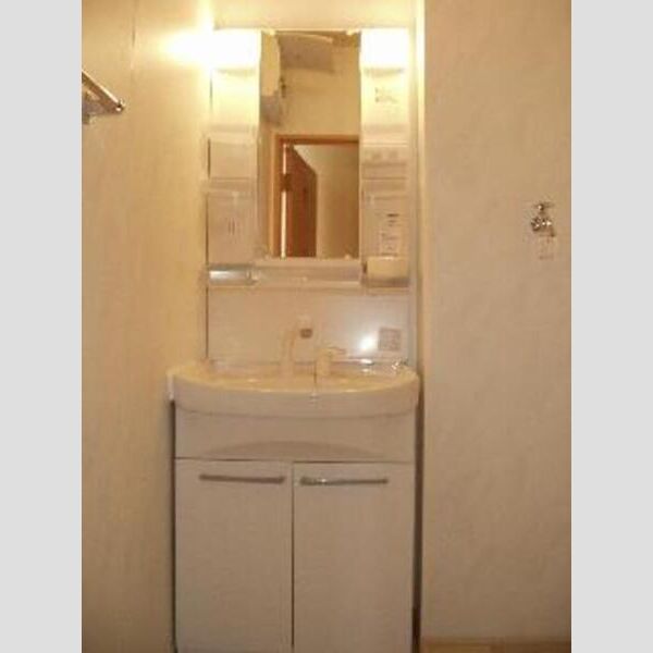 ロイヤルヴィラⅢ 洗髪洗面化粧台