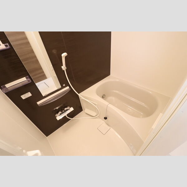 リッチモンブラン201号室 浴室