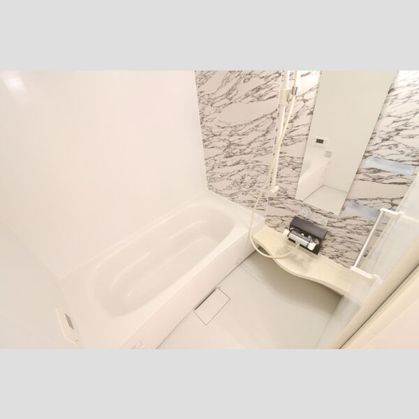 ロイヤルガーデン101号室 浴室