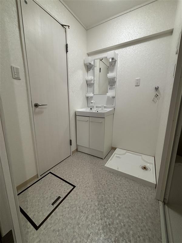 フィエスタ小作0308号室 洗面室