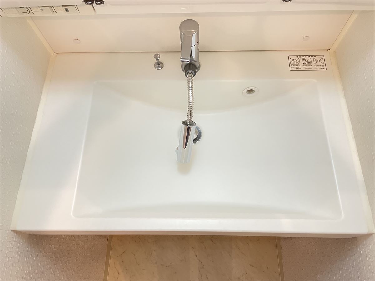 DIPS神楽坂905号室 洗面