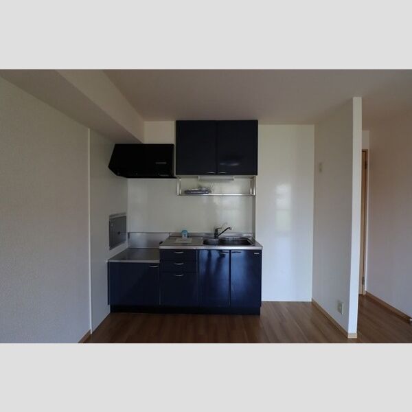 セジュール梨香101号室 キッチン