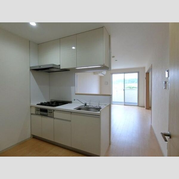 TERRACE　WELLNESS306号室 LDK(対面キッチン)