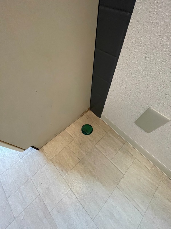 ReDEAL新小岩1階 内観