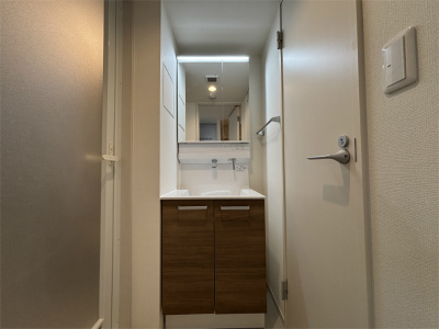 リブリ・エルカーサ亀有1階 洗面