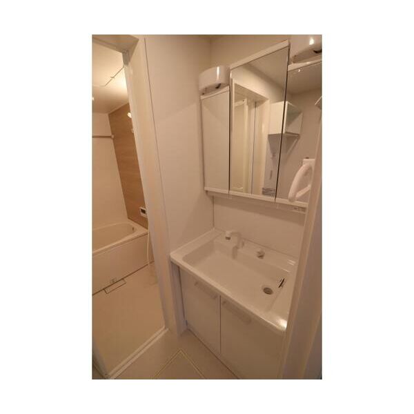 フォレストメゾン西船橋WEST109号室 洗面