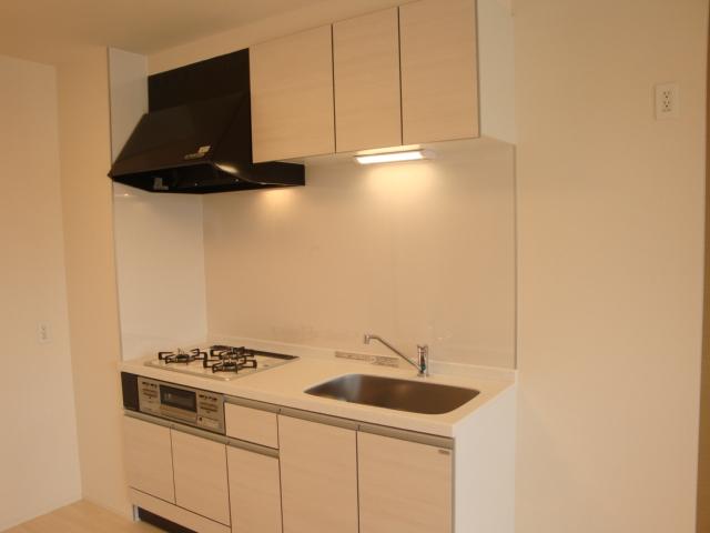 レーベン・ハイム美園５ キッチン