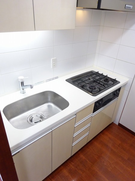 デュオ・スカーラ常盤台1004号室 キッチン