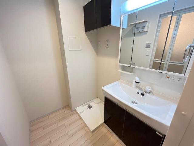 ボス　バレーヒル102号室 洗面（イメージ）