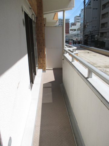 エクセル秋山0201号室 バルコニー