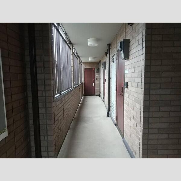 セジュール玉川202号室 共用部廊下