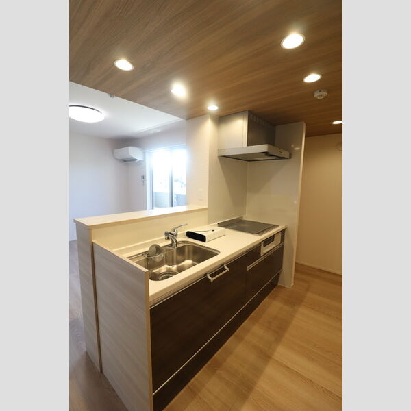 D-ROOM 分梅301号室 キッチン