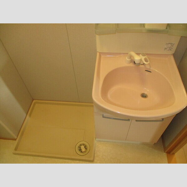 ロジュマン マエバラDEF D202(洗髪洗面化粧台、室内洗濯機置場)