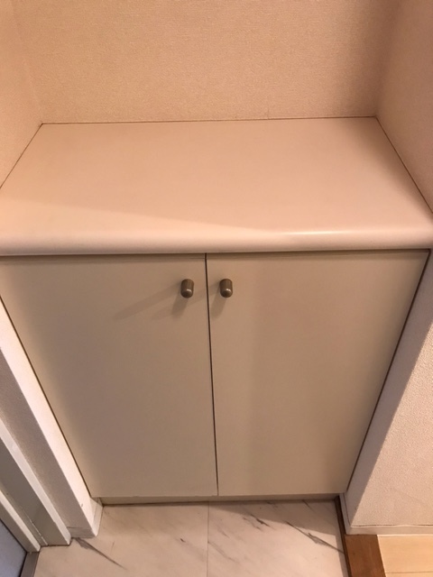 ＫＥＮＺＯ　ＨＡＵＳ　ＥＫＯＤＡ0303号室 収納