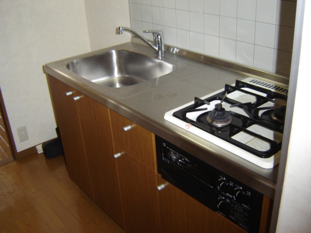 ロズウェルシブヤ203号室 キッチン