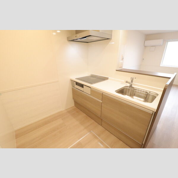 Dアヴァンス高富C102号室 対面式システムキッチン