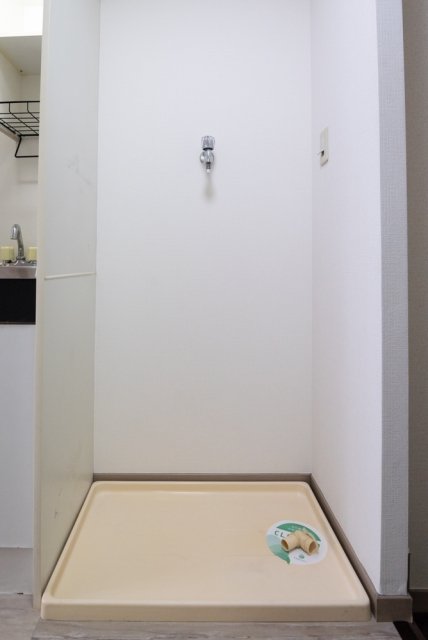 ガラ・シティ高井戸3階 室内洗濯機置場