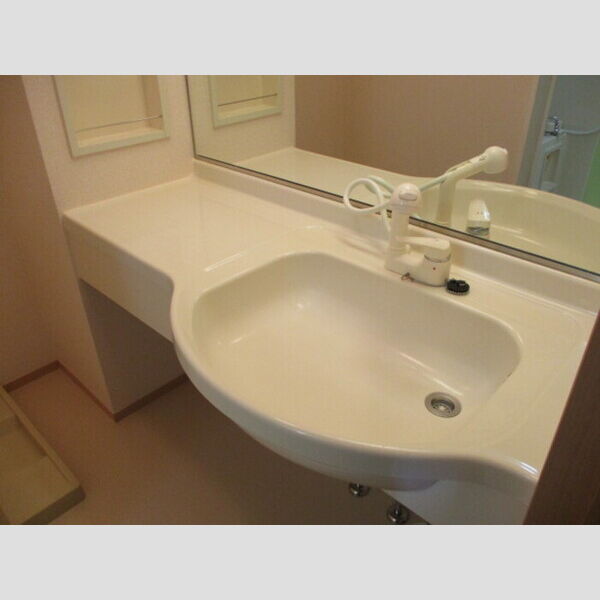 グランメール203号室 洗髪洗面化粧台