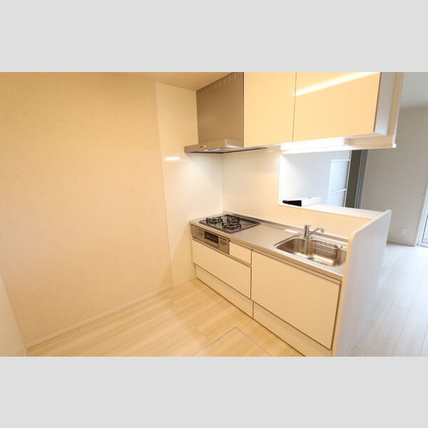 TSUBAKI　HOUSE 対面キッチン　3口コンログリル付