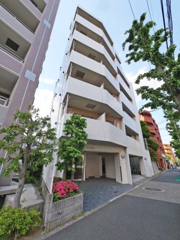 コンフィアンサ等々力5階 外観