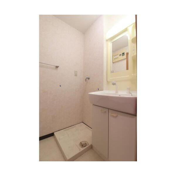 本牧グリーンハイツ203号室 洗面