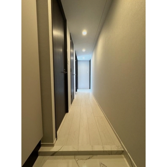 ACP Residence 新江古田0502号室 玄関