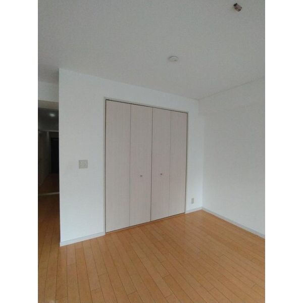 相模大野マンション1002号室 収納