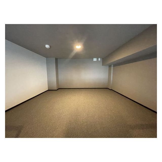 Pair新大久保0103号室 3階　ロフト