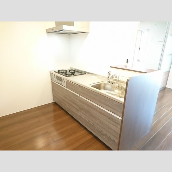 ロイジェントパークス レイクタウン Ⅱ　M202号室 キッチン