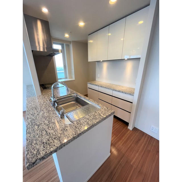 ザ・パークハウス晴海タワーズ　ティアロレジデンス3609号室 同建物別部屋の参考画像