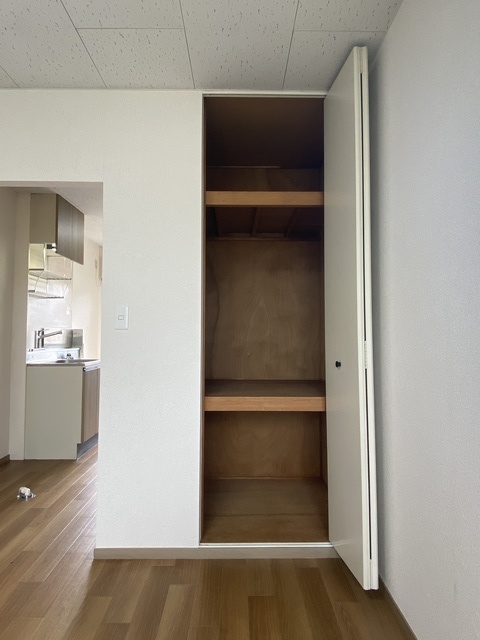 カーサ南原0202号室 収納