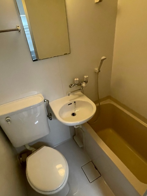 グリーンハウスＮｏ２0108号室 お風呂