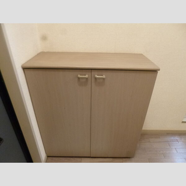 ブリイエ22205号室 シューズボックス