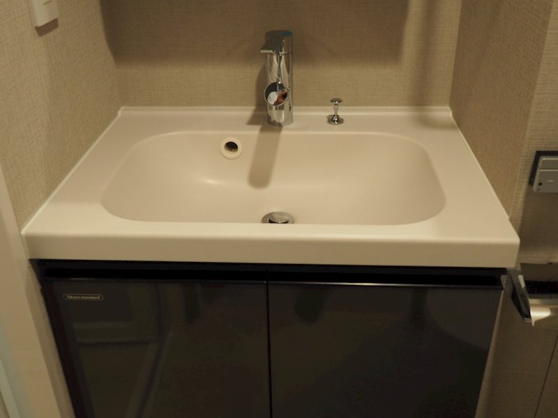 ドゥーエ二子新地5階 洗面