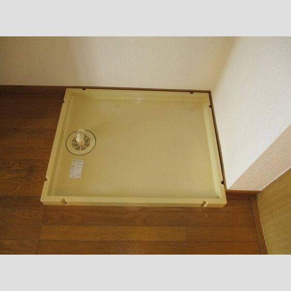 ロイヤルハイツ大澤110号室 室内洗濯機置場