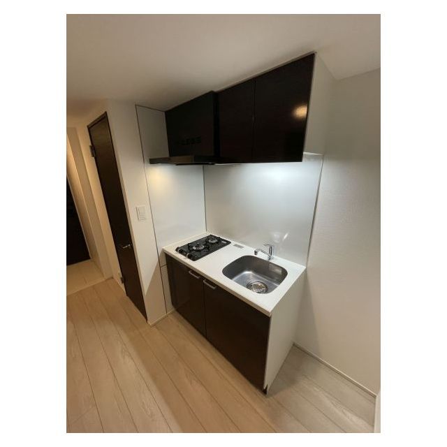 オープンブルーム川口並木1006号室 キッチン