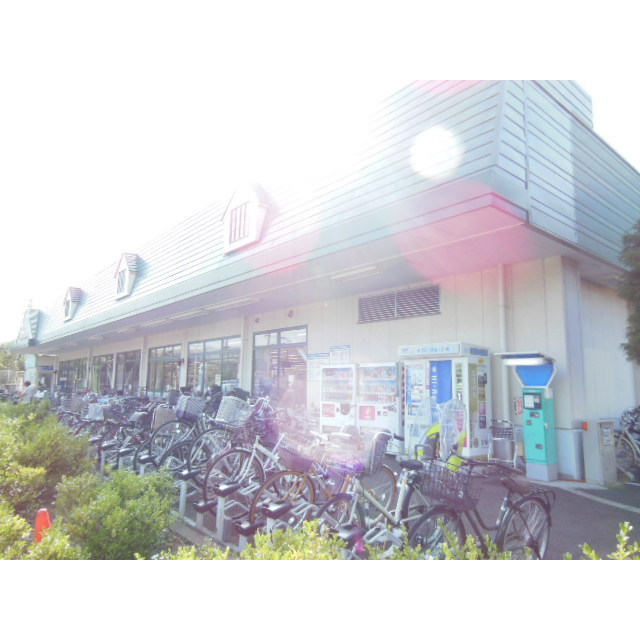 アムール 山﨑 周辺