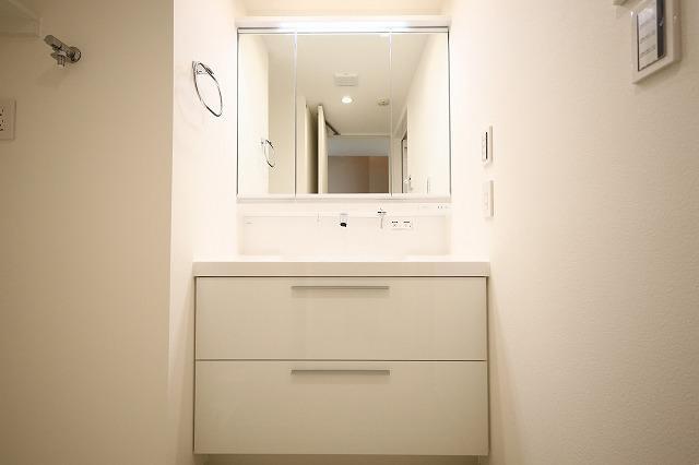 六本木デュープレックスエムズ5階 洗面所