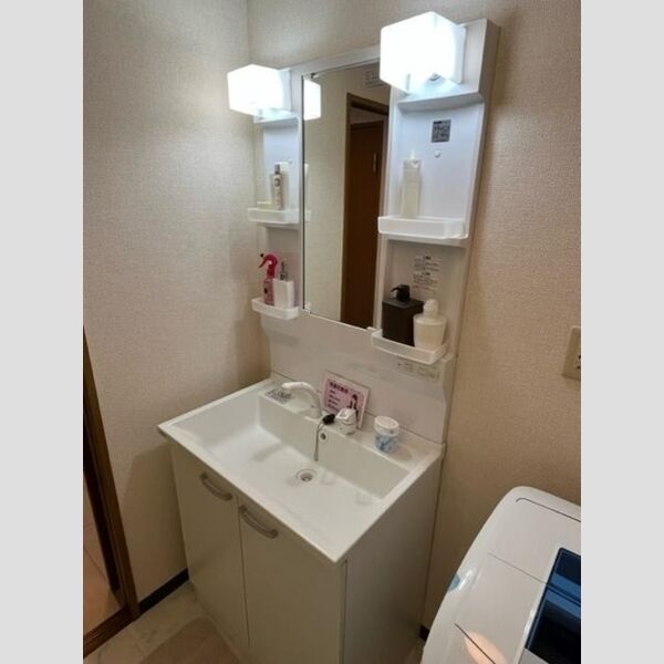 フォレストジョウエイ 洗面