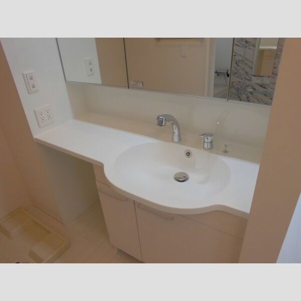 プラムブロッサム　イースト202号室 洗面化粧台