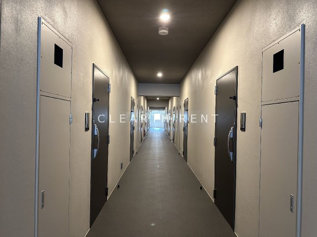 アルファコート亀戸２5階 ★弊社管理物件・敷礼0×仲介手数料不要×家賃2ヶ月分無料★