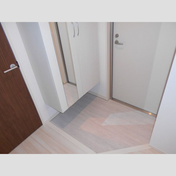 ロイジェントパークス草加手代　C205号室 玄関