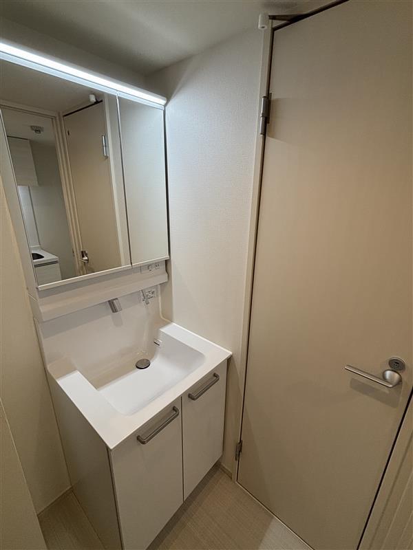 リブリ・蕨 洗面