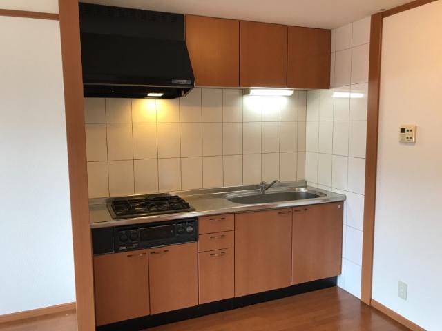 ブエナスエルテ キッチン