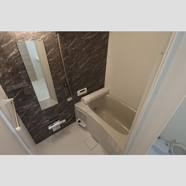 D Paina Kannon101号室 お風呂