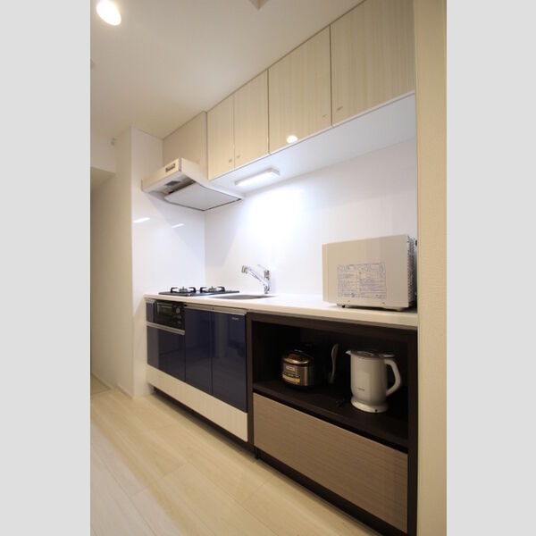 ロイジェントパークス四ツ谷306号室 キッチン