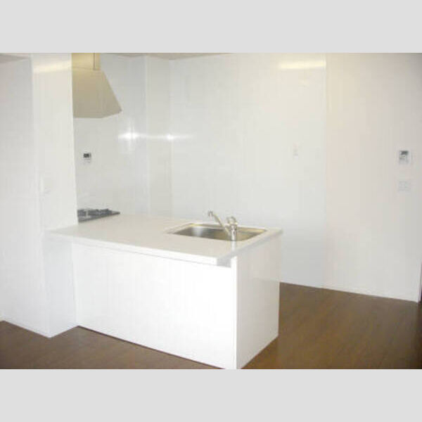 ルミエール久が原 ルミエール久が原101 キッチン