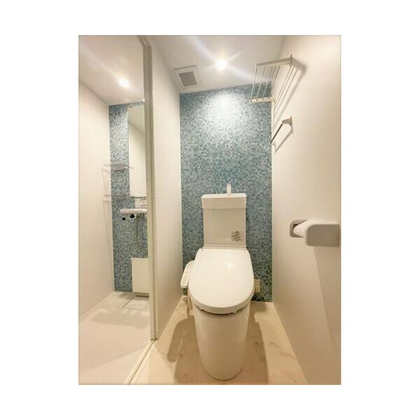 スミノ藤沢506号室 トイレ