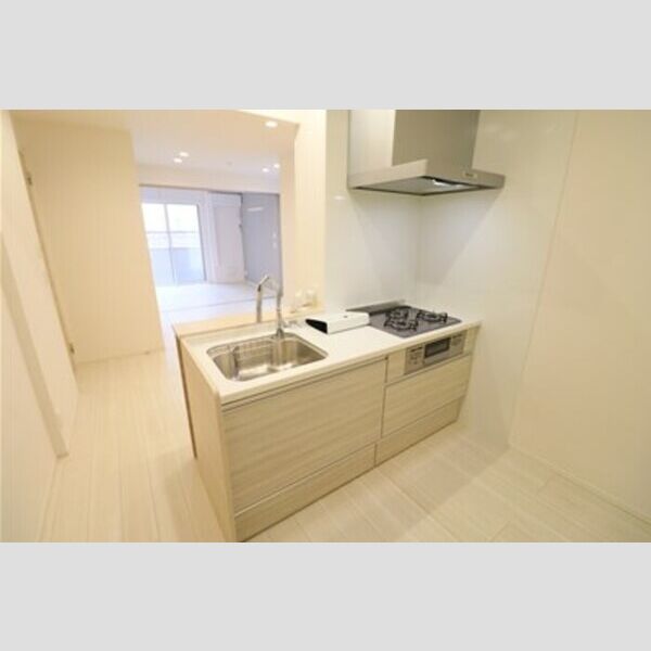 D Paina 上平間Ⅱ システムキッチン